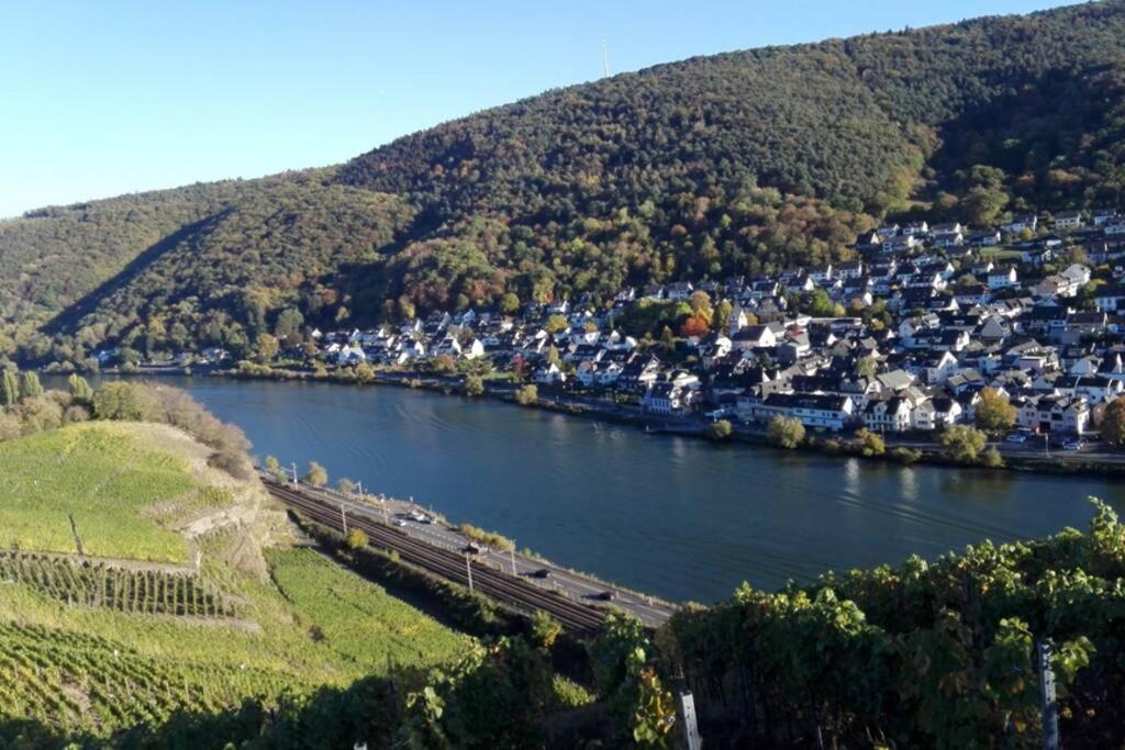 Ferienhaus Chalet Marc Am Moselbogen Villa Koblenz  Exteriör bild